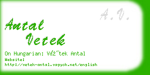 antal vetek business card